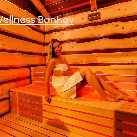 Otel Bankov