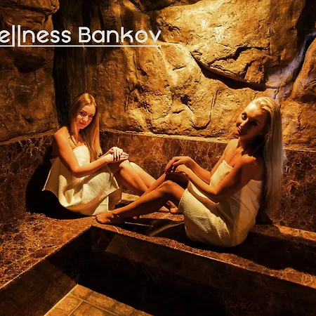 Bankov מלון קושיצה