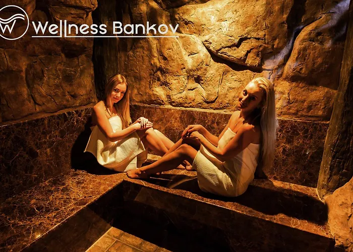 Bankov فندق كَشّا